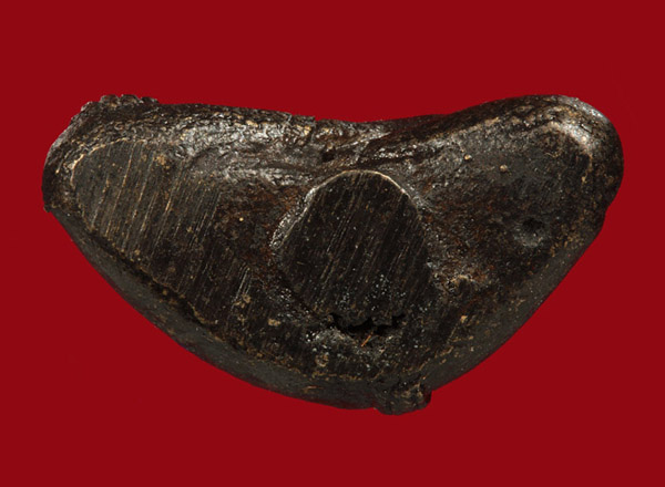 รูปหล่อพระพุทธสิหิงค์รุ่นแรก พระครูถาวรศีลวัตร วัดมุจลินทราวาส (บ่อจิก) 