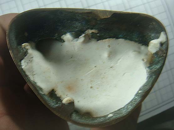 พระบูชาห่มคลุม ปี 38 หลวงปู่ญาท่านสวน ฉฺนทโร วัดนาอุดม