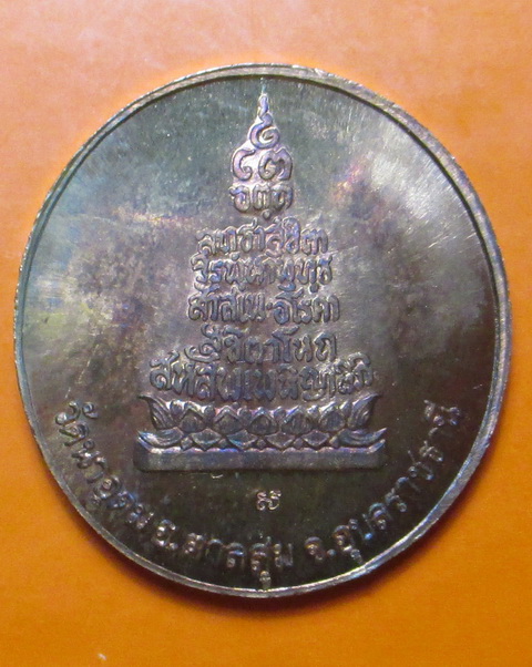 เหรียญประสบการณ์ฟ้าผ่า หลวงปู่สวน ฉันทโร ปี 2549.