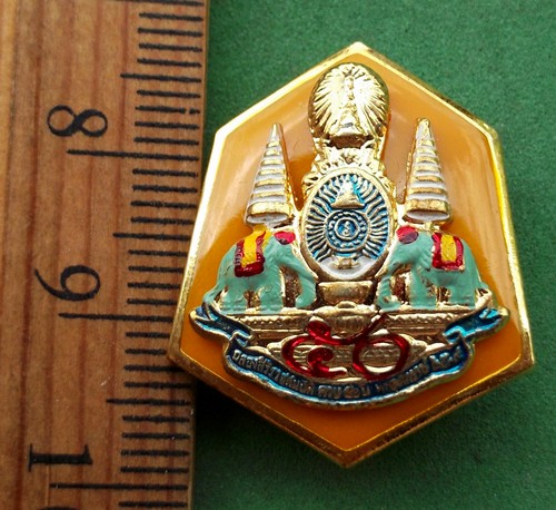 วัดใจเริ่ม 10 บาท กับ เข็มกลัดเฉลิมพระเกียรติ ....AP718