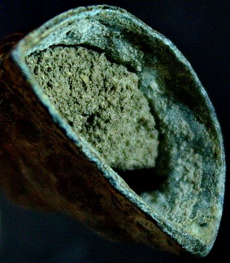 พระแก้บนเนื้อชินไม่ระบุกรุ