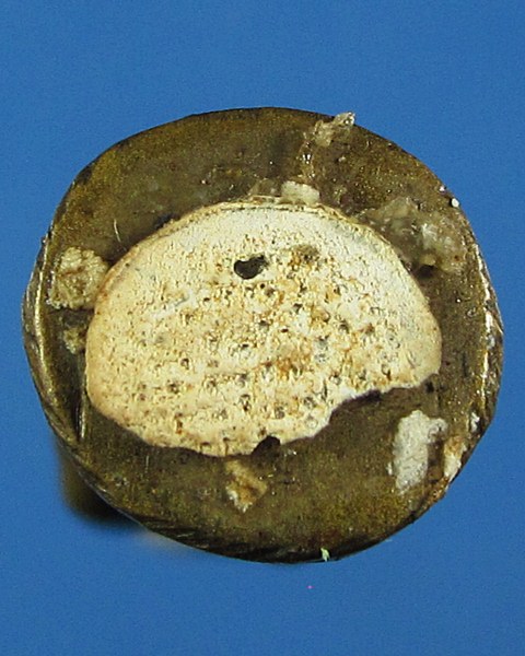 พระสิวลี ก้นอุดผง หลวงพ่อแฉ่ง วัดบางพัง จ.นนทบุรี