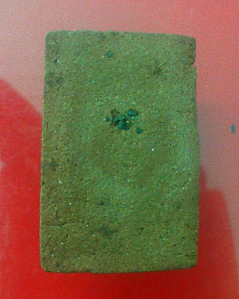 พระสีวลีหลวงปู่สวน ฉนฺทโร  