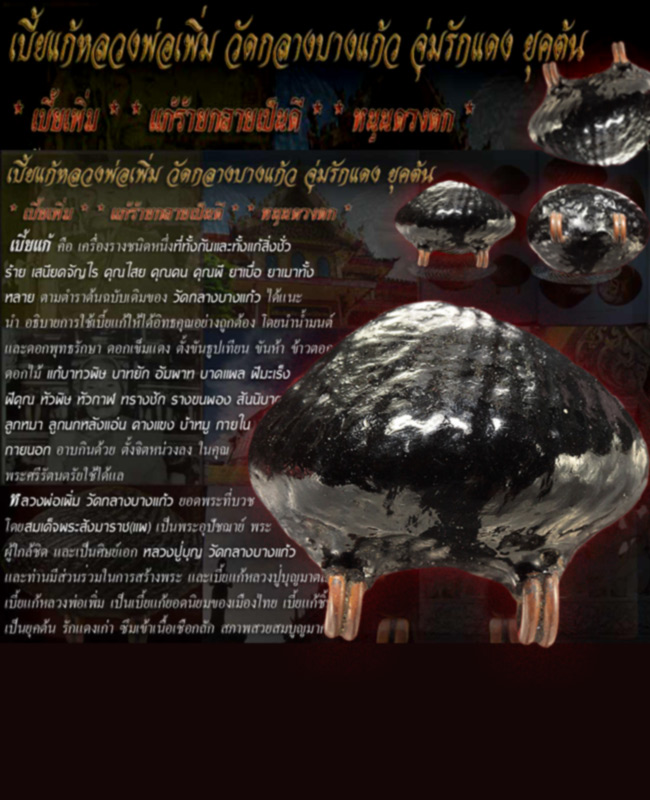 เบี้ยแก้หลวงปู่เพิ่มวัดกลางบางแก้วยุคต้นหล่อขั้นเทพสวยสมบูรณ์