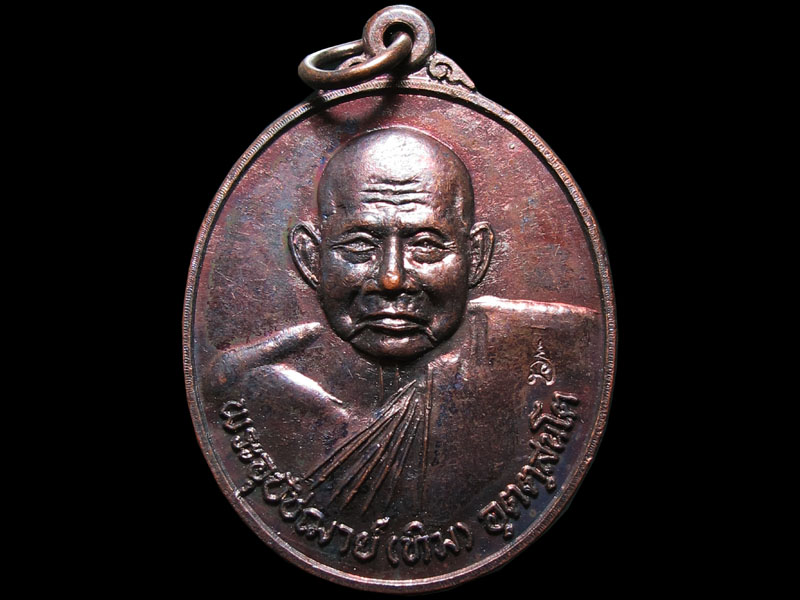 เหรียญที่ระลึก ครบรอบ 84 ปี หลวงปู่ทิม วัดพระขาว เคาะเดียวแดง องค์ที่6
