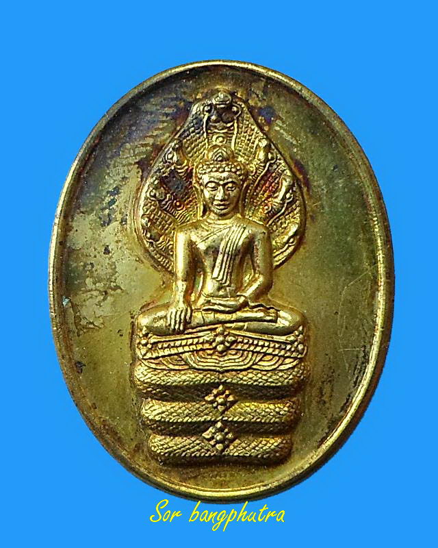 เคาะเดียวครับ เหรียญนาคปรก หลวงพ่อแพ วัดพิกุลทอง