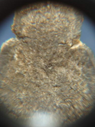 พระร่วงนั่ง เนื้อชินเงิน ไม่ทราบกรุ เก่ามากๆครับ