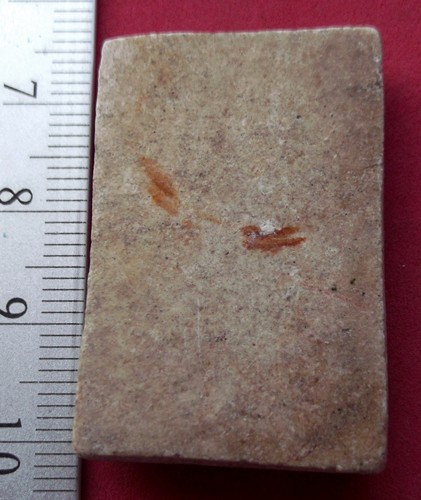 วัดใจเริ่ม 10 บาท กับ  พระสมเด็จ  ..AT517