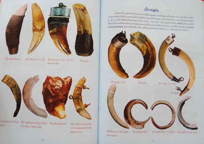 หนังสือ เขี้ยว เขา งา กะลา แกะ