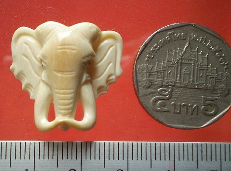 ห่วงกลางสร้อยพระ  หัวช้าง แกะจากงาช้างทั้งชิ้น  เคาะเดียว 