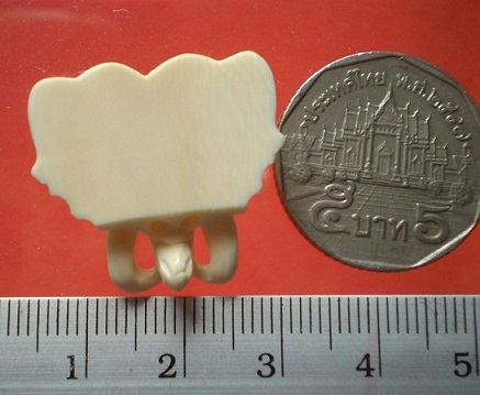 ห่วงกลางสร้อยพระ  หัวช้าง แกะจากงาช้างทั้งชิ้น  เคาะเดียว 