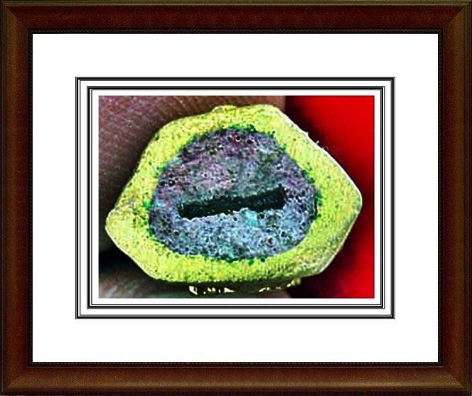 พระศรีศากยมุนี (พระยูไล) วัดเล่งเน่ยยี่ 1 ชุด พร้อมกล่อง 