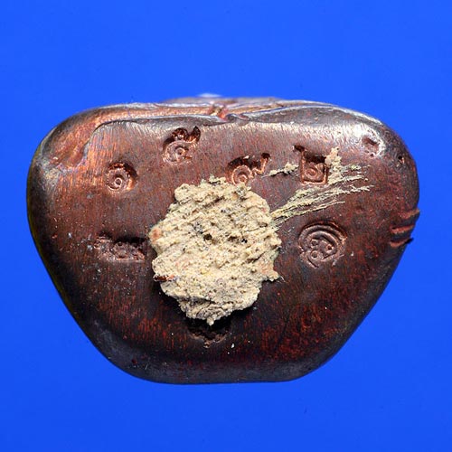 สังกัจจายน์ รุ่น ๑ อาจารย์เนียม วัดบางไทร สวย+ประสบการณ์+นิยม+เซียนแขวนเดี่ยว+พื้นที่สัญาณดีมาก