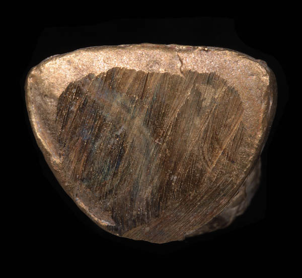 + หล่อโบราณนั่งอวยพรรุ่นแรก!!! พ่อท่านเอื้อม วัดบางเนียน +