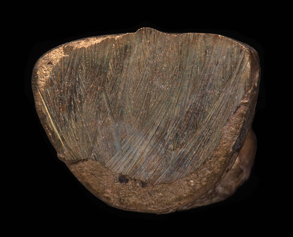 + หล่อโบราณนั่งอวยพรรุ่นแรก!!! พ่อท่านเอื้อม วัดบางเนียน + 