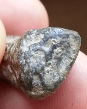 พระกรุ เนื้อชินไม่ทราบที่  อีกองค์