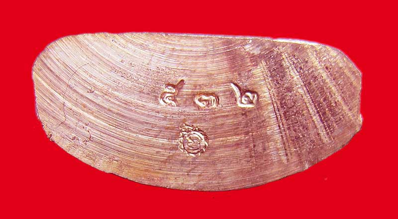 รูปเหมือนปั้ม รุ่นแรก พระมหาสุรศักดิ์ วัดประดู่พระอารามหลวง สมุทรสงคราม เนื้อทองเเดง หลังตรง หมายเลข