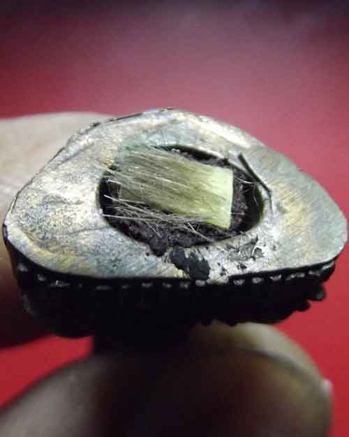 พระเศรษฐีนวโกฏ หลวงปู่นอง ออกวัดวังศรีทอง