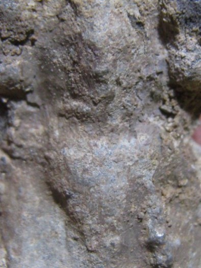 พระนาคปรก เนื้อชินเงิน กรุวัดโพธิ์ประทับช้าง จ.พิจิตร