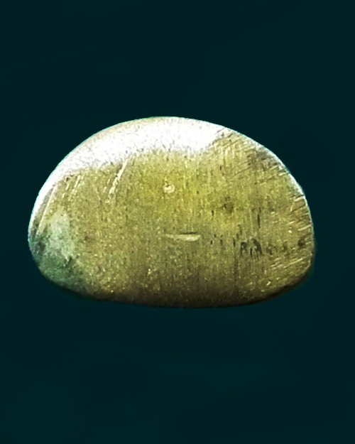 พระปรกเศรษฐีหลวงตามหาบัว ปี. ๒๕๔๗