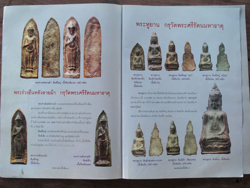 หนังสือ อมตะพระเนื้อชิน