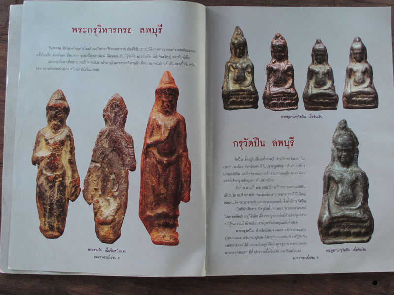 หนังสือ อมตะพระเนื้อชิน