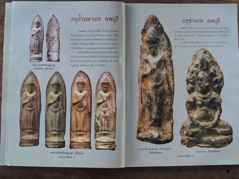 หนังสือ อมตะพระเนื้อชิน