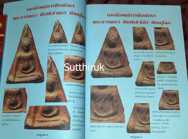 หนังสือ พระผงคู่แฝด เล่ม 1