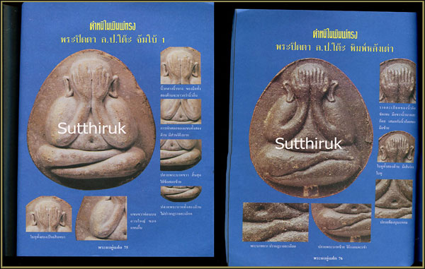 หนังสือ พระผงคู่แฝด เล่ม 2