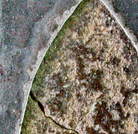 นาคปรกเนื้อชินสนิมแดง(ไม่ระบุกรุ) ในกรอบเนื้อเงินแบบโบราณ