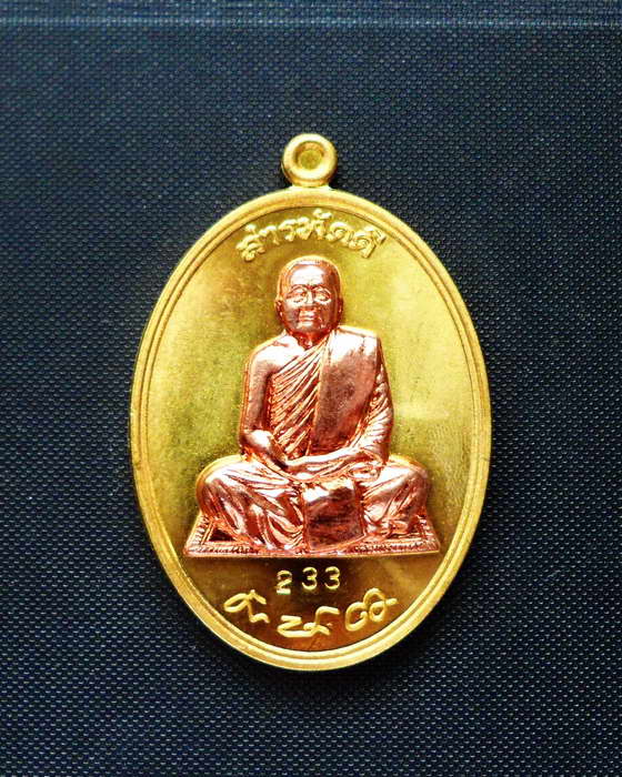 เหรียญสารพัดดี หลวงปู่บุญหนา (เหรียญทองฝาบาตรหน้ากากทองแดง) No.233