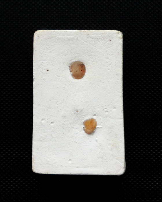 พระพุทธชินราช เนื้อผงสีขาว องค์่เล็กๆ