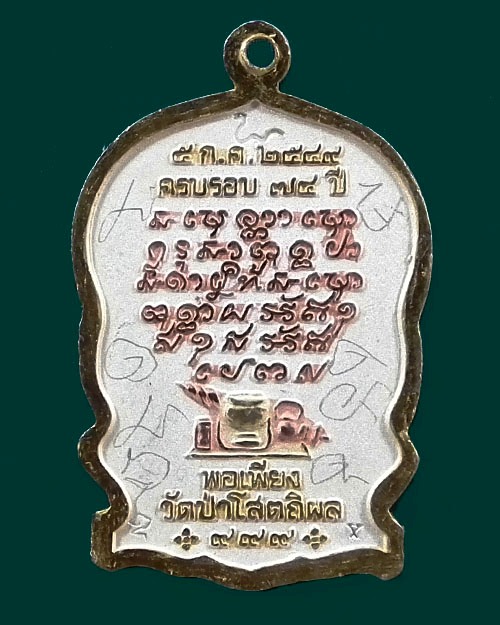 เหรียญหลวงตาบุญหนา ธัมมทินโน  ปี. ๒๕๔๙ 