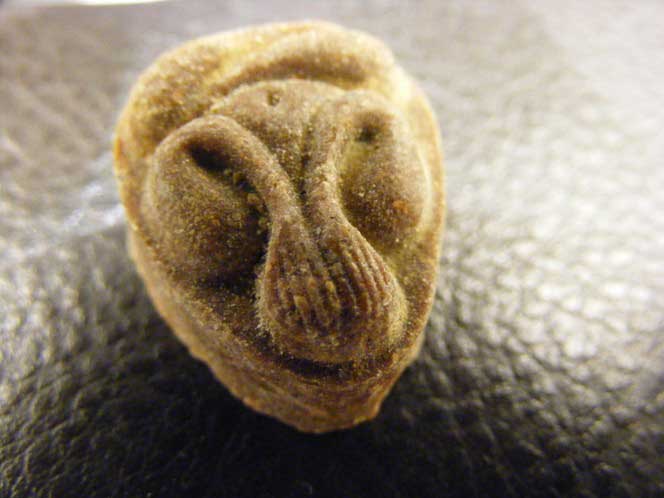 พระปิดตามหาเสน่ห์ หลังยันต์พุทโธ หลวงปู่โต๊ะ เนื้อเกสร กรุวัดลาดปลาเค้า สภาพสวยๆ