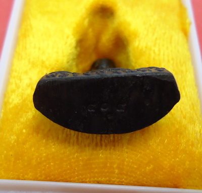 รูปเหมือนปั้ม รุ่นแรก เนื้อเหล็กน้ำพี้ หลวงปู่จันทร์ วัดซับน้อย จ.เพชรบูรณ์ หมายเลข๔o๔