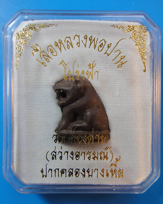 เสือหลวงพ่อปาน วัดคลองด่าน(สว่างอารมณ์)No.01