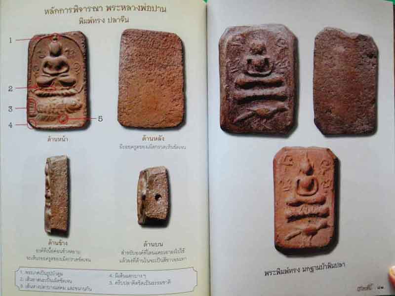 หนังสือพระเครื่องหลวงพ่อปาน วัดบางนมโค จ.อยุธยา