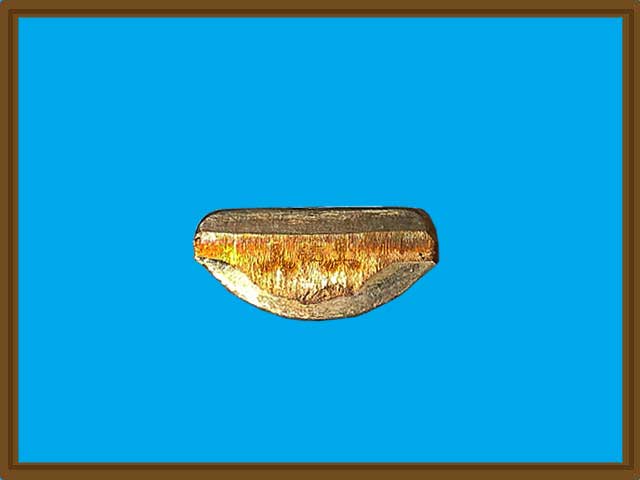 รูปเหมือนปั๊มพิมพ์เข่ากว้างหลังเต็ม เนื้อนวโลหะ รุ่น เจริญลาภ หลวงปู่โสฬส วัดโคกอู่ทอง จ.ปราจีนบุรี 