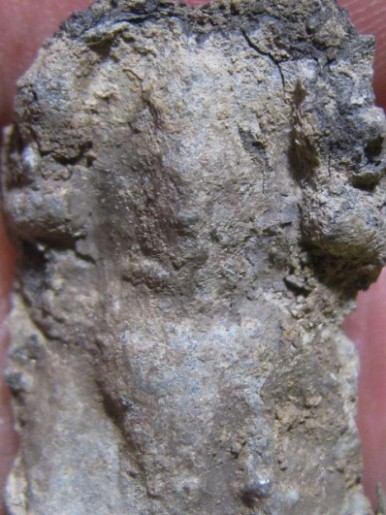 พระนาคปรก เนื้อชินเงิน กรุวัดโพธิ์ประทับช้าง จ.พิจิตร มีบัตรรับรองและราคาเบา ๆ