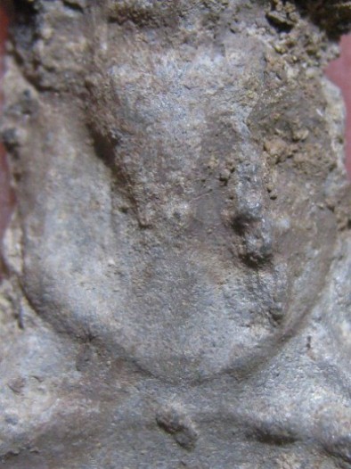 พระนาคปรก เนื้อชินเงิน กรุวัดโพธิ์ประทับช้าง จ.พิจิตร มีบัตรรับรองและราคาเบา ๆ