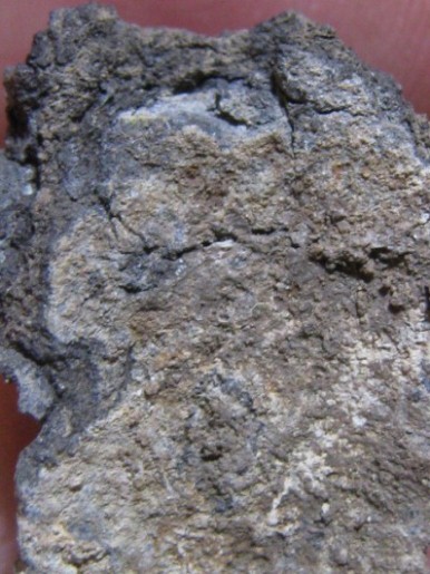 พระนาคปรก เนื้อชินเงิน กรุวัดโพธิ์ประทับช้าง จ.พิจิตร มีบัตรรับรองและราคาเบา ๆ