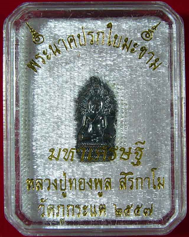 พระนาคปรกใบมะขาม มหาเศรษฐี หลวงปู่ทองพูล  สิริกาโม  วัดภูกระแต  จ. บึงกาฬ