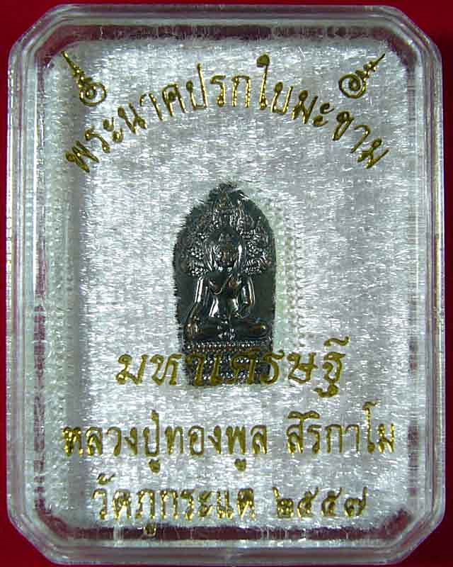 พระนาคปรกใบมะขาม มหาเศรษฐี หลวงปู่ทองพูล  สิริกาโม  วัดภูกระแต  จ. บึงกาฬ