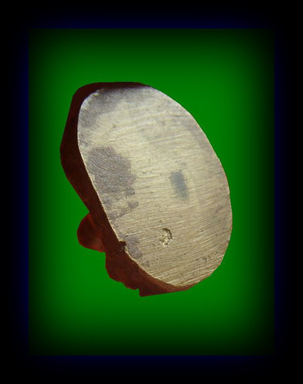 พระพุทธชินราชอินโดจีน พิมพ์ต้อ ไม่มีโค้ด