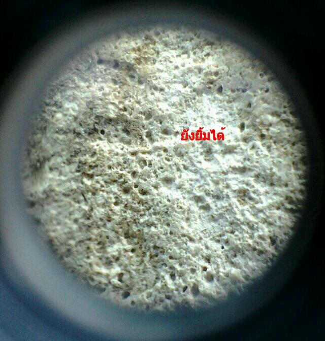 กล้องส่องพระ PEAK 20x (MADE IN JAPAN) สินค้าลิขสิทธิ์แท้จากญี่ปุ่น เคาะเดียวแดงส่งEMSให้เลย