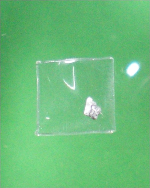 นาคปรกหลวงพ่อยิด วัดหนองจอก ประจวบคีรีขันธ์ พร้อมพระธาตุ