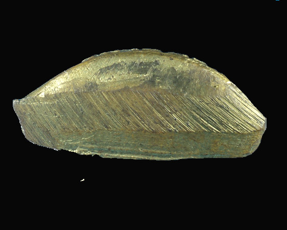 รูปหล่อหลวงพ่อพูล วัดไผ่ล้อม รุ่น 1