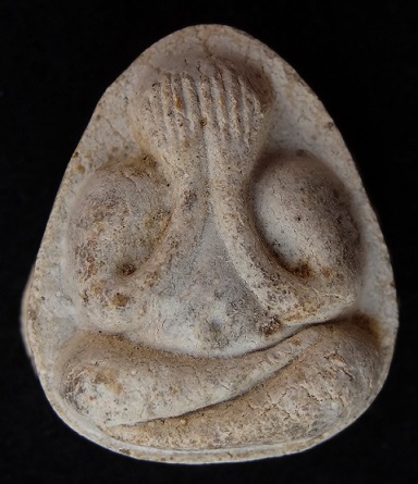 พระปิดตามหาเสน่ห์ หลังยันต์พุทโธ เนื้อเกสรนวลๆ 