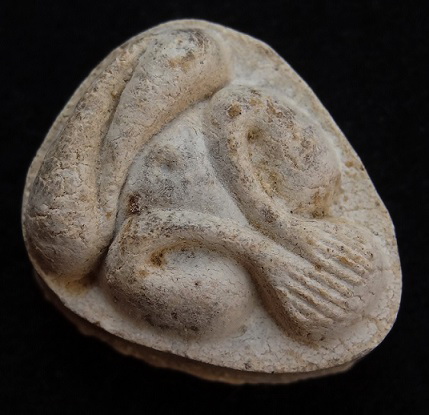 พระปิดตามหาเสน่ห์ หลังยันต์พุทโธ เนื้อเกสรนวลๆ 