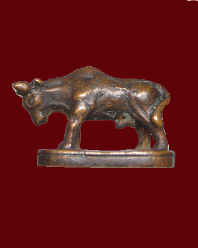 เคาะเดียวครับ//วัวธนู  หลวงพ่อแช่ม 